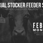 hondo livestock auction special sale