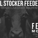 hondo-livestock-auction-special-sale-