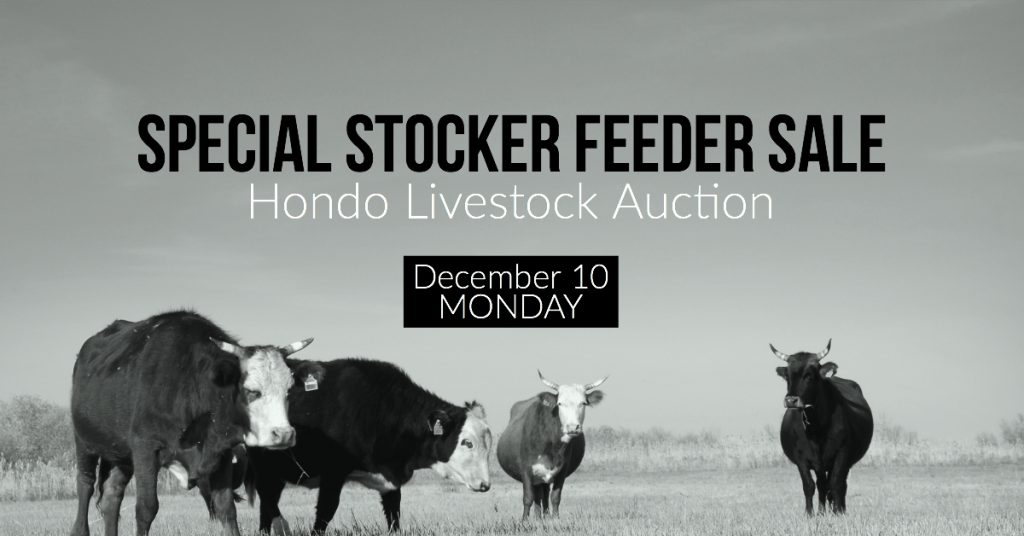 Special Livestock Sale Dec-10, Hondo Livestock Auction