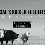 Special Livestock Sale Dec-10, Hondo Livestock Auction