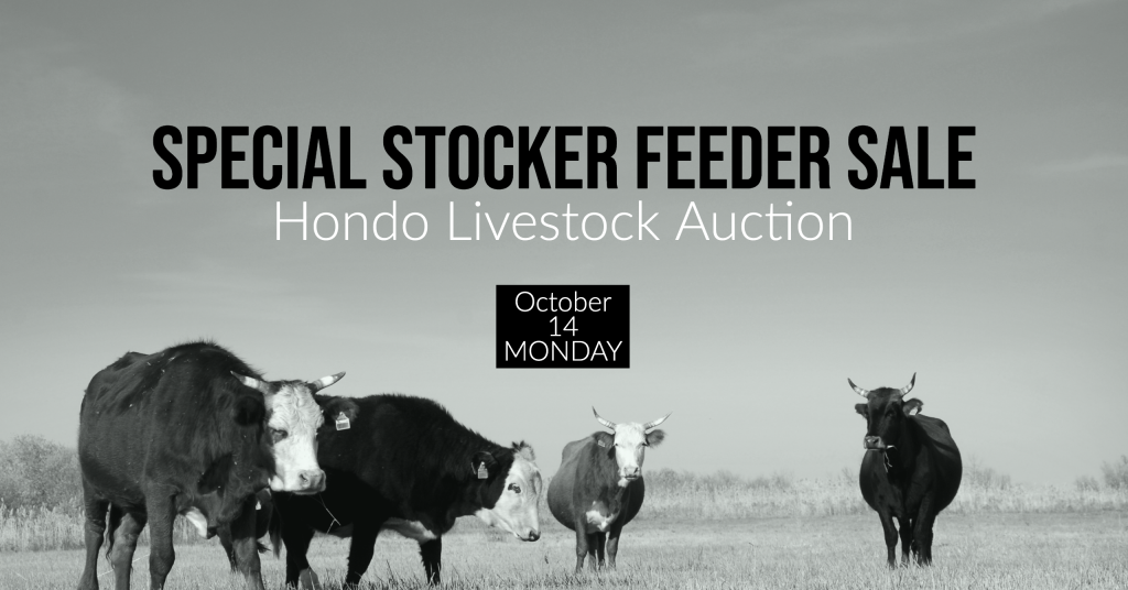 Hondo livestock Auction, Special Sale Date