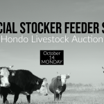 Hondo livestock Auction, Special Sale Date