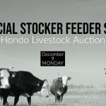 hondo livestock auction