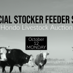 Special Livestock Sale at Hondo Livestock Auction