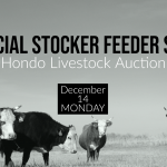 Hondo Livestock Auction Special Sale