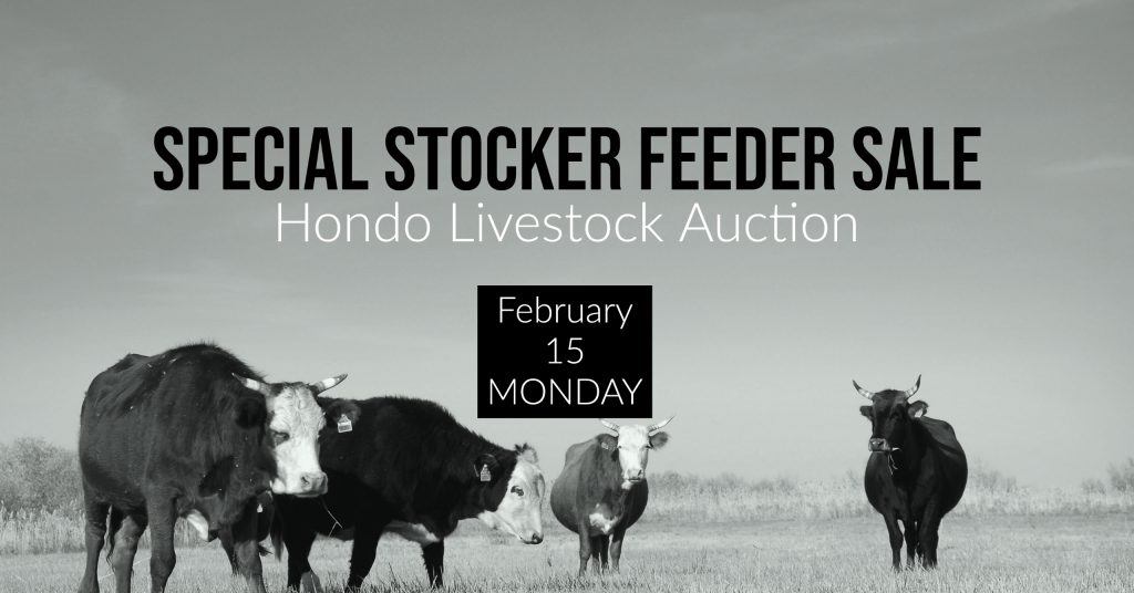 Special Livestock Sale, Hondo, Texas
