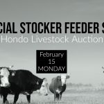 Special Livestock Sale, Hondo, Texas
