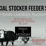 Special Livestock Sale, Cattle Auction, Hondo Livestock