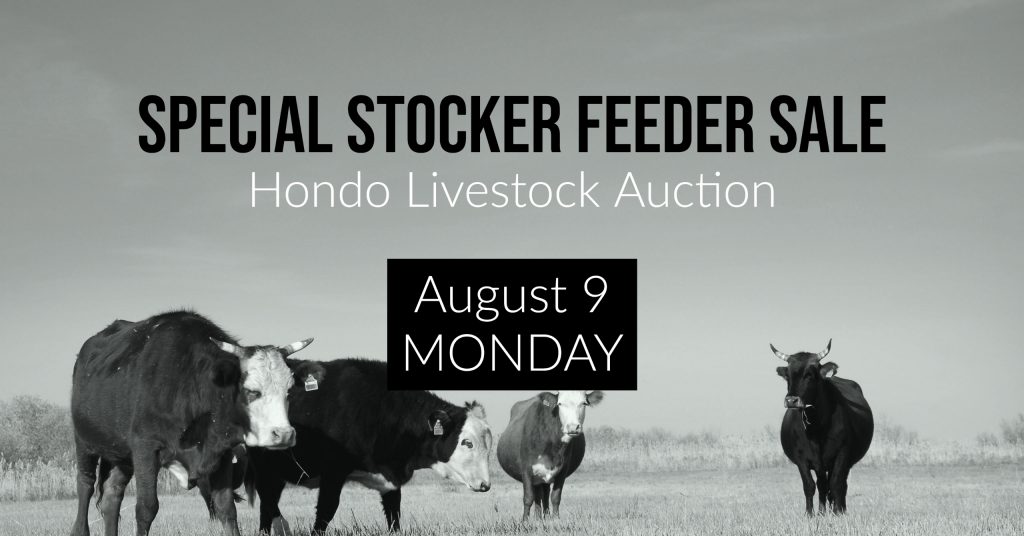 Hondo Livestock Auction, Special Livestock Sale
