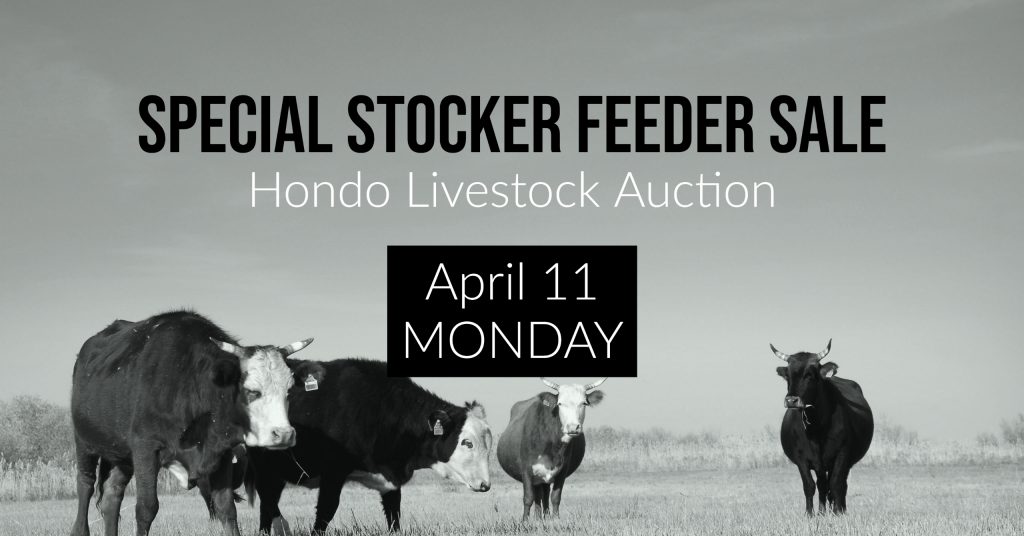 Hondo Livestock Auction, Special Sale